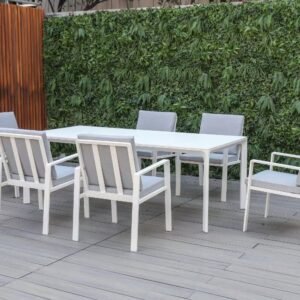 Delta dining set (6C+1T)