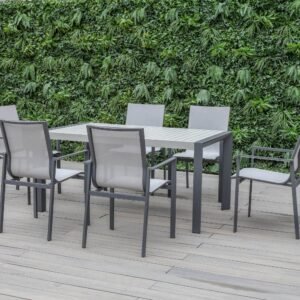 palm 6 seater dinning set